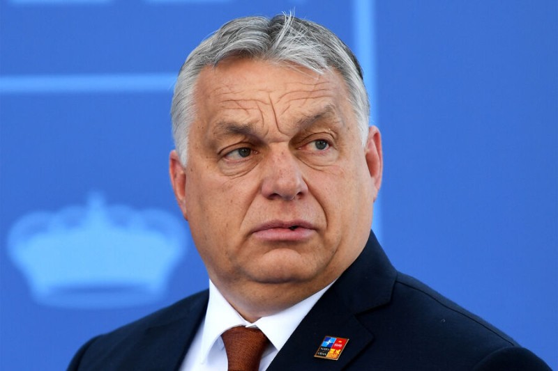 

Орбан и Зеленский обсудили урегулирование конфликта на&nbsp;Украине

