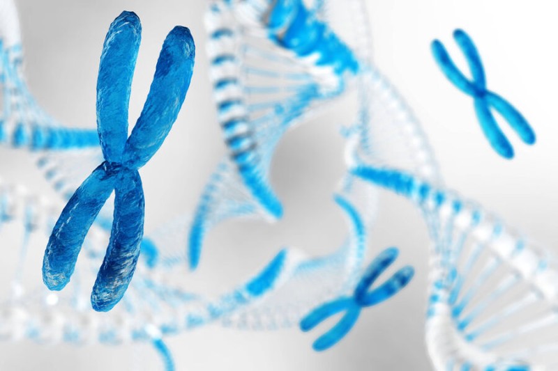 

Ученые нашли генетическую причину болезни Паркинсона

