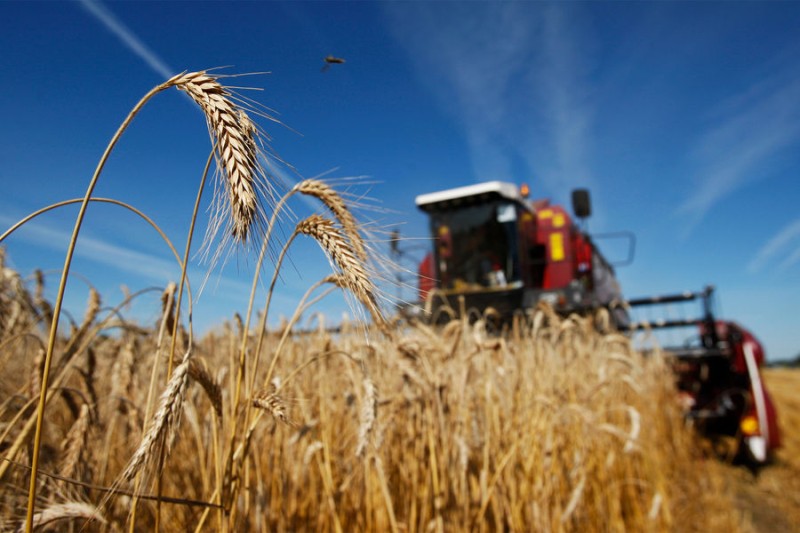 

Заморозки в&nbsp;РФ вызвали скачок мировых цен на&nbsp;пшеницу

